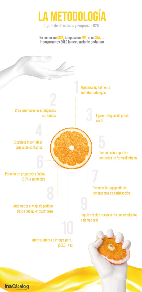 Infografia_Metodologia_B2B_General_inaCatalog