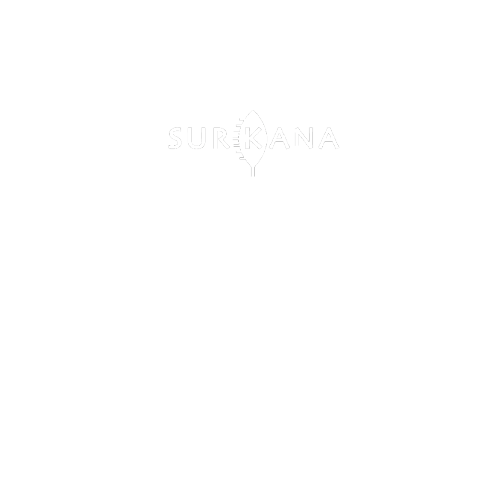 Mesa de trabajo 1 copia 2