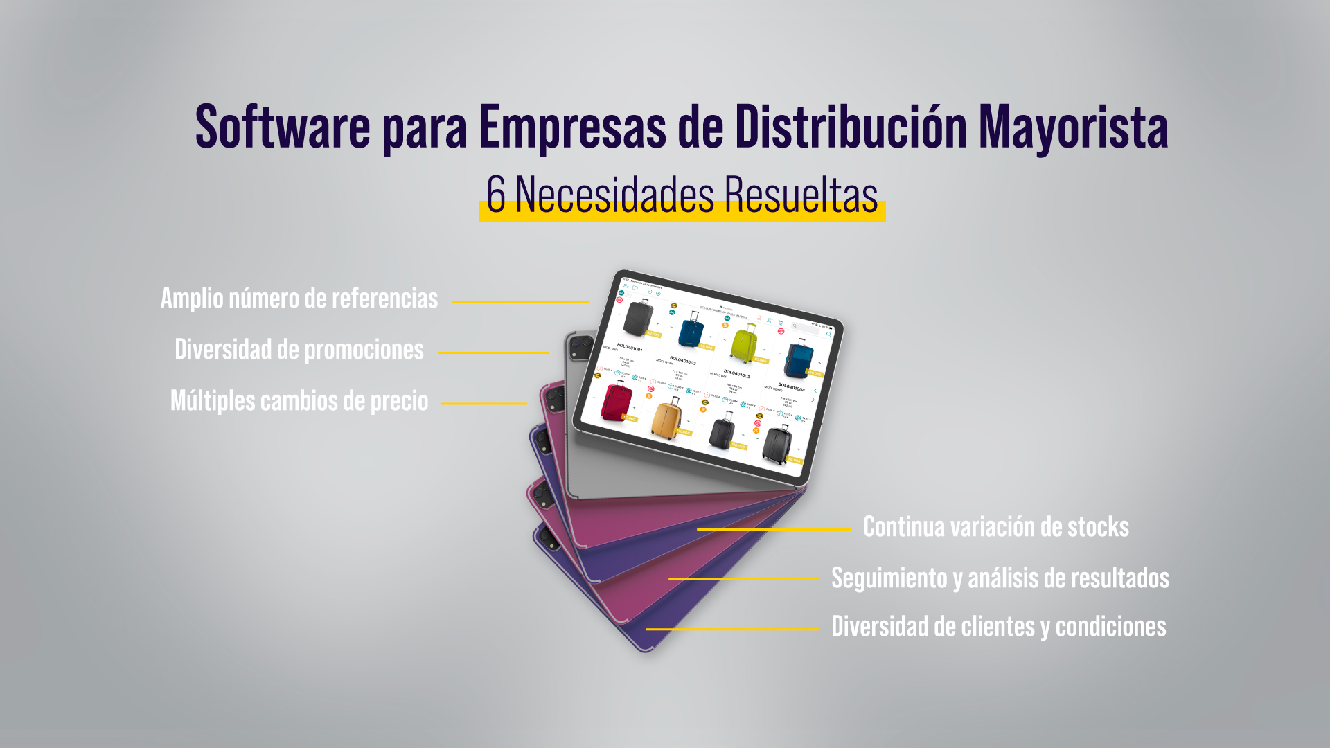 Software-empresa-distribución-mayorista